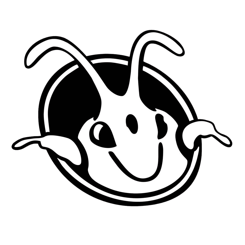 Cloth Moth